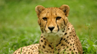 Školní výlet - ZOO Olomouc